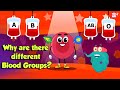Understanding Blood Types