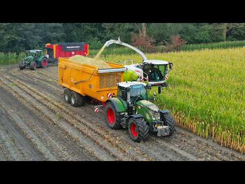 Mais Silage 2024 | Claas Jaguar 940 + Fendt | E.J.G. Gerritsen