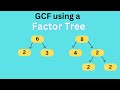 Understanding the Greatest Common Factor