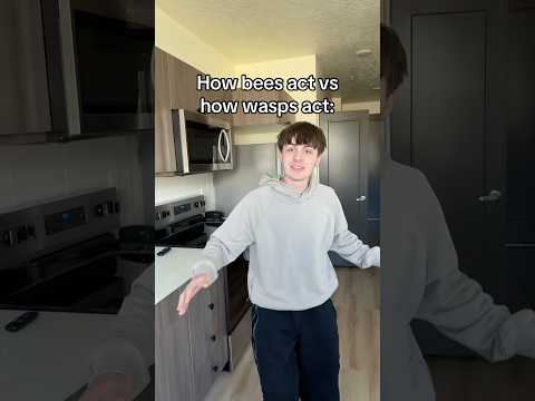 This is just how it is #skit #pov #bees #wasp #bugs #comedy #trending