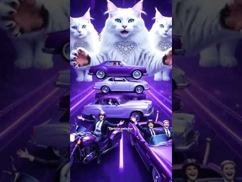 Funny Cats #cat #cartton #viral #shortsfeed #cutecats