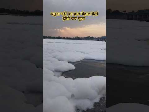Chhath pooja se phle ye hua yamuna Nadi ka haal behaal #chhath #chhathpuja #bihari #shorts #viral