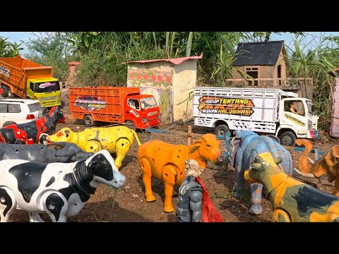 Muat Hewan Sapi Kerbau Truk Oleng RC Canter Fuso Isuzu NMR Miniatur Handmade