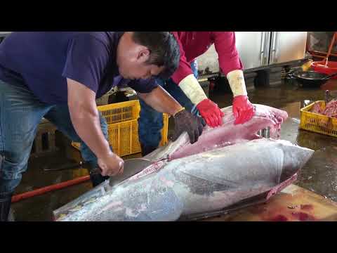 The audience is wild! The exquisite skills of a giant bluefin tuna cutter