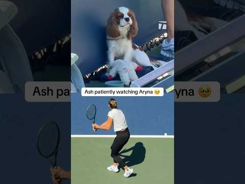 <strong>Good</strong> boying <strong>on</strong> the daily 🐕 #usopen #sabalenka