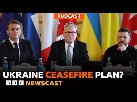 Can the UK Prime Minister and French President come up with a Ukraine plan for peace? | BBC Newscast