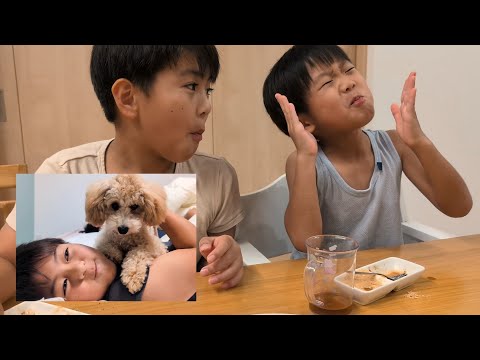 お月見団子とブーちゃんの足はポップコーン　#2182