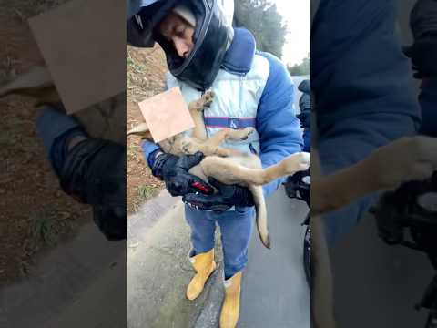 Iba pasando cuando me encontré con esto 😞 #motos #conciencia #calle #perrito #cuidado