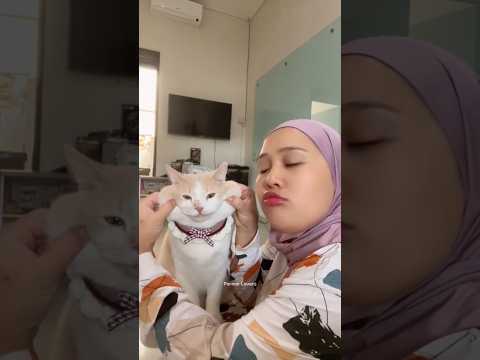 Gunting kuku persiapan tanggal 7 besok 🥰 #kucingpororo #pororo #catlover