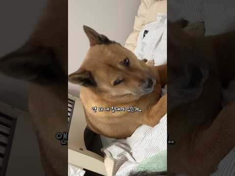 누나는 아빠 없을 때만 필요해