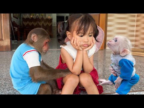 Yen Nhi with Cutis & baby monkey carry out a daring plan that shocks fans😆