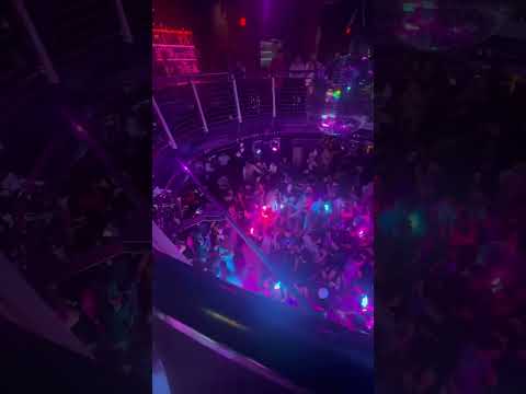 la discoteca lo que pase daddy yankee #reggaeton #festivalmusic #daddyyanke #edmmusic