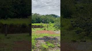 Modern Tropical Villa on 1.7 Acres in Ojochal 🇨🇷 | New Construction for $155K