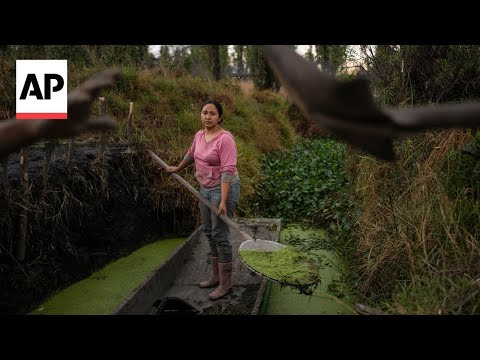 YouTube video thumbnail: Women in Mexico Protect Ancient Aztec Farms and Save a Vanishing Ecosystem