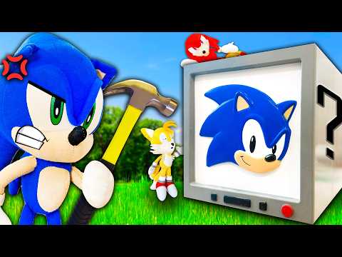 The Mystery Box! - Sonic and Friends