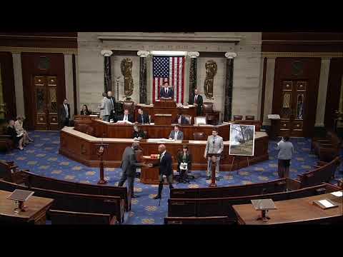 The Art of Baking: From Classic Bread to Artisan Pastries