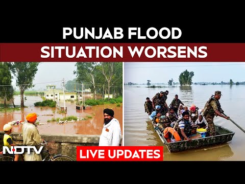 Punjab Floods LIVE | Heavy Rain, Floods Ravage Parts Of North India, Schools Shut In Chandigarh