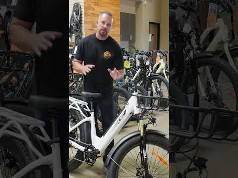 Have You Seen Our Step-Thru E-Bike the FT750ST?