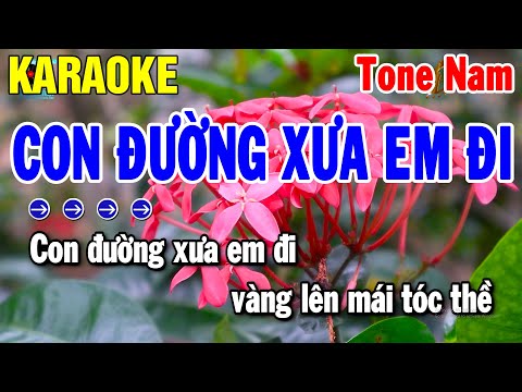 Karaoke Con Đường Xưa Em Đi Tone Nam Nhạc Sống Bm | Karaoke Thanh Hải