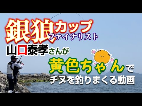 【黒鯛】銀狼CUPファイナリストとチヌフカセ釣りに行ったらやはり凄かった