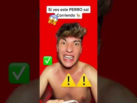 Si ves este perro VETE CORRIENDO