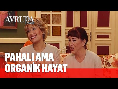 Tahsin'in pintiliği ortaya çıkıyor - Avrupa Yakası