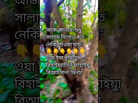 আপনি কি জানেন, একবার সালাম দিলে ১০ নেকি লেখা হয়❓ #shortvideo #দোয়া #motivation #vairalvideo #ইসলাম
