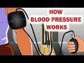 Understanding Blood Pressure