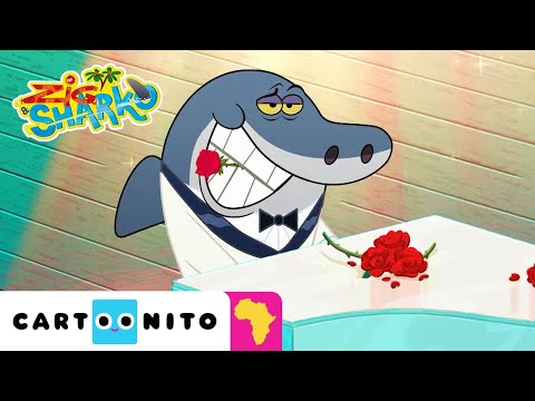 Sweet Serenade | Zig & Sharko | Cartoonito Africa