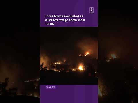 Three towns evacuated as wildfires ravage north-west Turkey