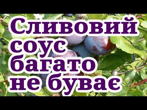 Тепер сливи на зиму заготовлюю лише так. Сливовий соус. Смачно. Просто. Швидко.