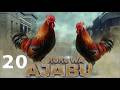 KUKU WA AJABU 20