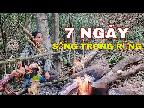 CUỘC SỐNG NƠI HOANG DÃ - Hành Trình 7 Ngày Sống Trong Rừng Tìm Kiếm Dược Liệu Thiên Nhiên