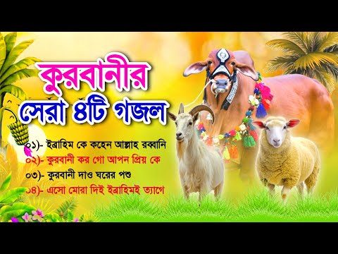 সকলের পছন্দের কুরবানীর ৪টি বাছাই করা গজল | Top 4 Kurbani Special Gojol | কুরবানীর গজল | Madani Gajal