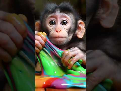 #music #ringtone #remix