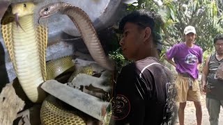 NABULABOG ANG BARYO SA BATANGAS DAHIL SA JUMBO COBRA