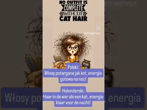 Haar in de war als een kat, energie klaar voor de nacht!🫶😸 #voorjou #katten #funny