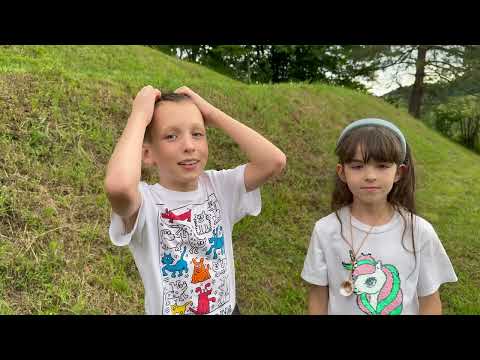 Najboljša KOSILNICA na SVETU