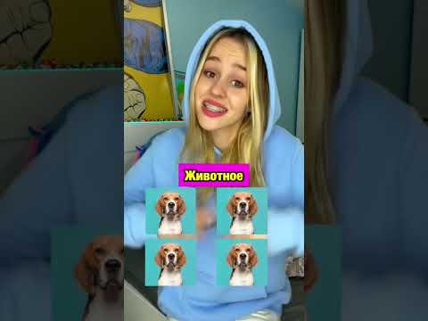 Мы не совпадаем ?😰 #shorts