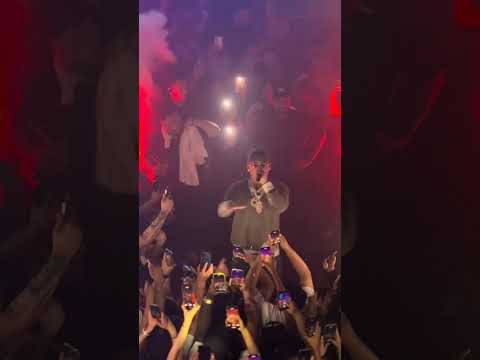 Cosculluela - Prrrum