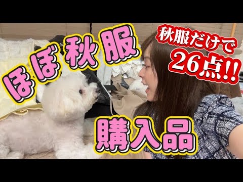 お金使わないと気が済まない!秋の購入品紹介!