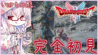 【#ドラクエ2 #17】謎の塔～無限の回廊 しんりゅう戦 りゅうおうのひ孫戦 ※いばらの道 ※レベルUP時回復オフ ※ネタバレ注意【夢乃名菓