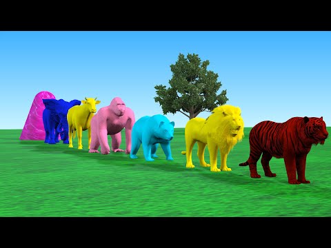 Paint Animals Elephant Cow Tiger Lion Gorilla Fountain Crossing Animal Game