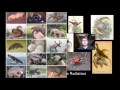 Extinction Events and Evolutionary Processes