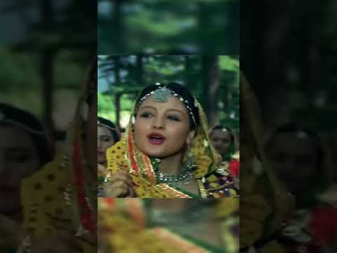 समझा रही हूं तुझको बाबुल से मांग ले | Sanam Bewafa | Salman Khan | Chandni #ytshorts #ytshortfeed