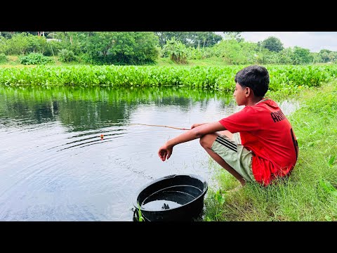 Little boy hunting big fish by rod ~ Traditional hook fishing in the river🥰🥰 || Fish King Bd