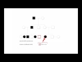 Genetic Probability and Risk Assessment