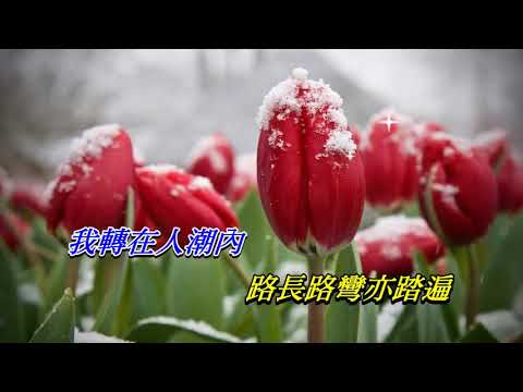 鏡花水月   梅艷芳〈歌手演唱版〉