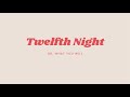 Plot Structure and Twelfth Night Elements