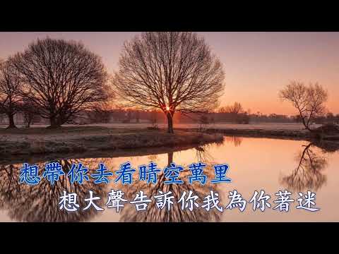 往後餘生 (伴奏) 王貳浪  (Karaoke 純音樂)